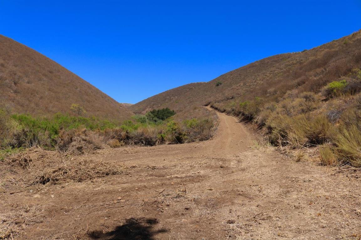 View Photo