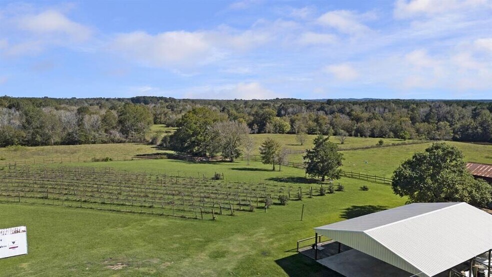 207 Dickens Ranch Rd, Livingston, TX à vendre - Photo principale – Image 1 sur 11