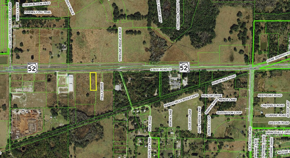 State Road 52, San Antonio, FL à vendre - Photo de l’immeuble – Image 3 sur 4