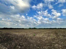 Plus de détails pour TBD County Road 320, Granger, TX - Terrain à louer