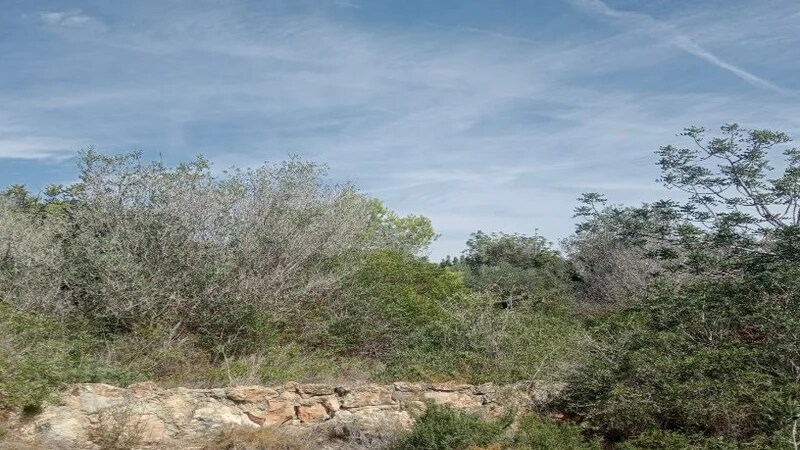 View Photo