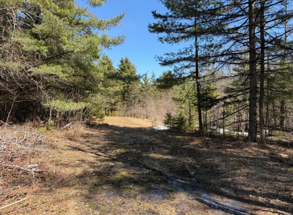 M32 W Rd, Alpena, MI à vendre Photo de l’immeuble– Image 1 sur 12