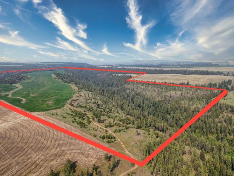 45XXX Devore Rd, Davenport, WA à vendre - Aérien – Image 1 sur 48
