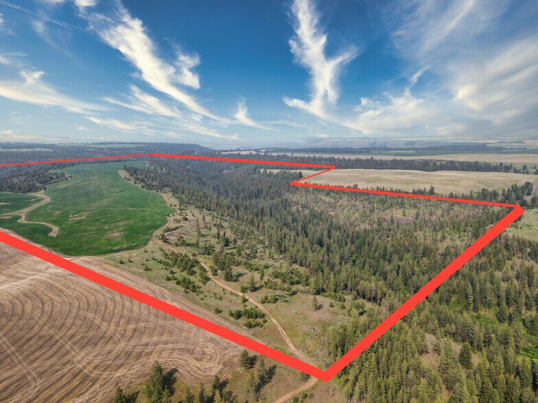 45XXX Devore Rd, Davenport, WA à vendre - Photo principale – Image 1 sur 48