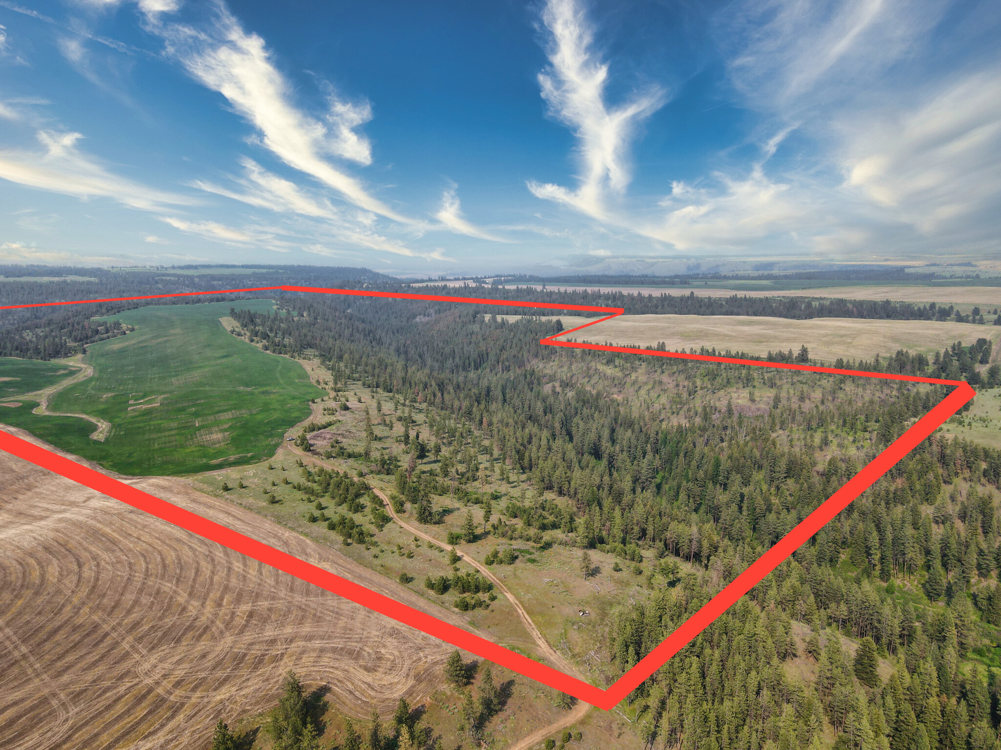 45XXX Devore Rd, Davenport, WA à vendre Aérien– Image 1 sur 49