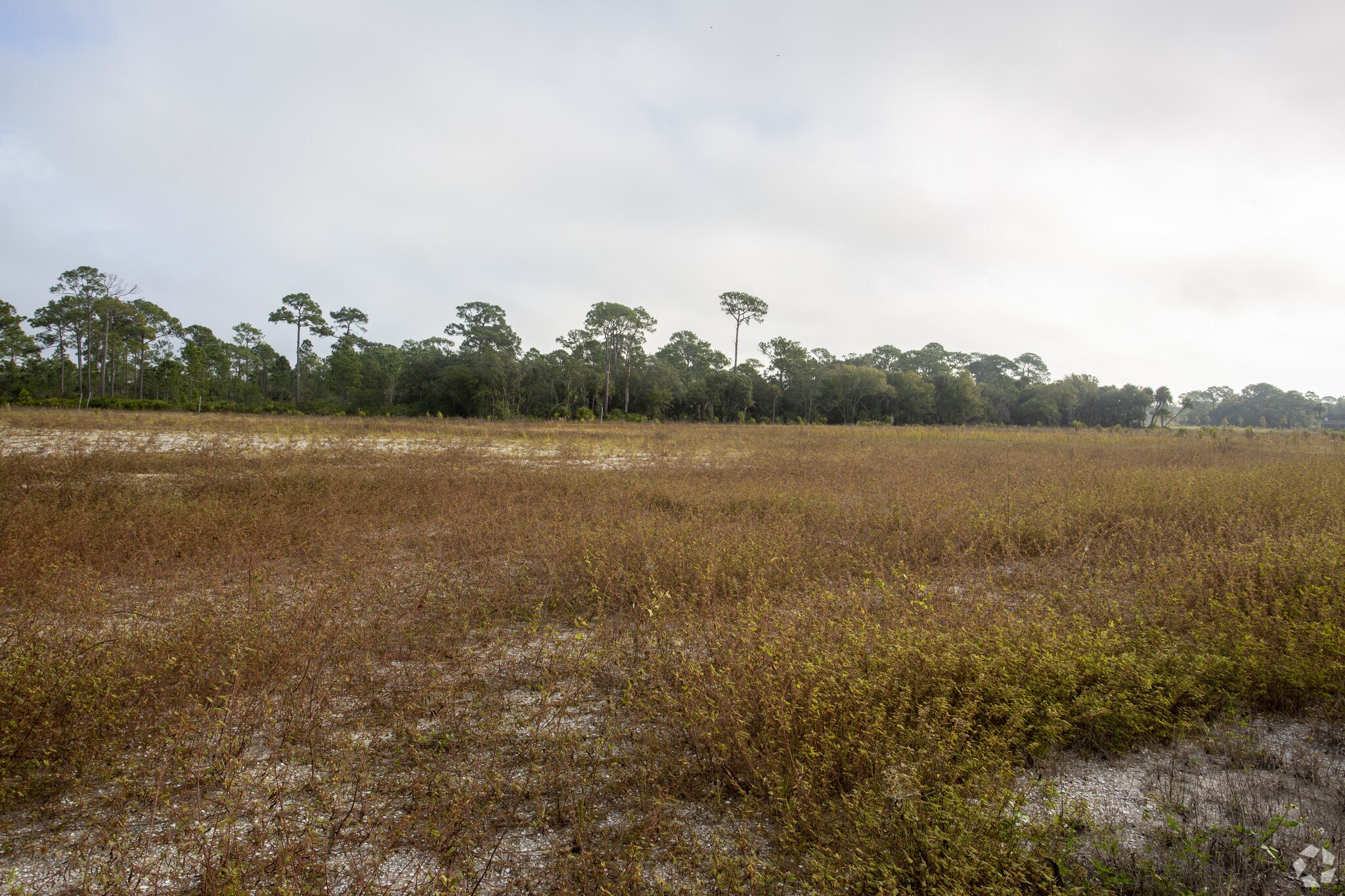 1090 Grand Venture Blvd, North Port, FL à louer Photo principale– Image 1 sur 5