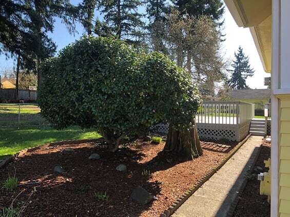 2203 NE 10th St, Renton, WA à vendre - Photo de l’immeuble – Image 3 sur 9