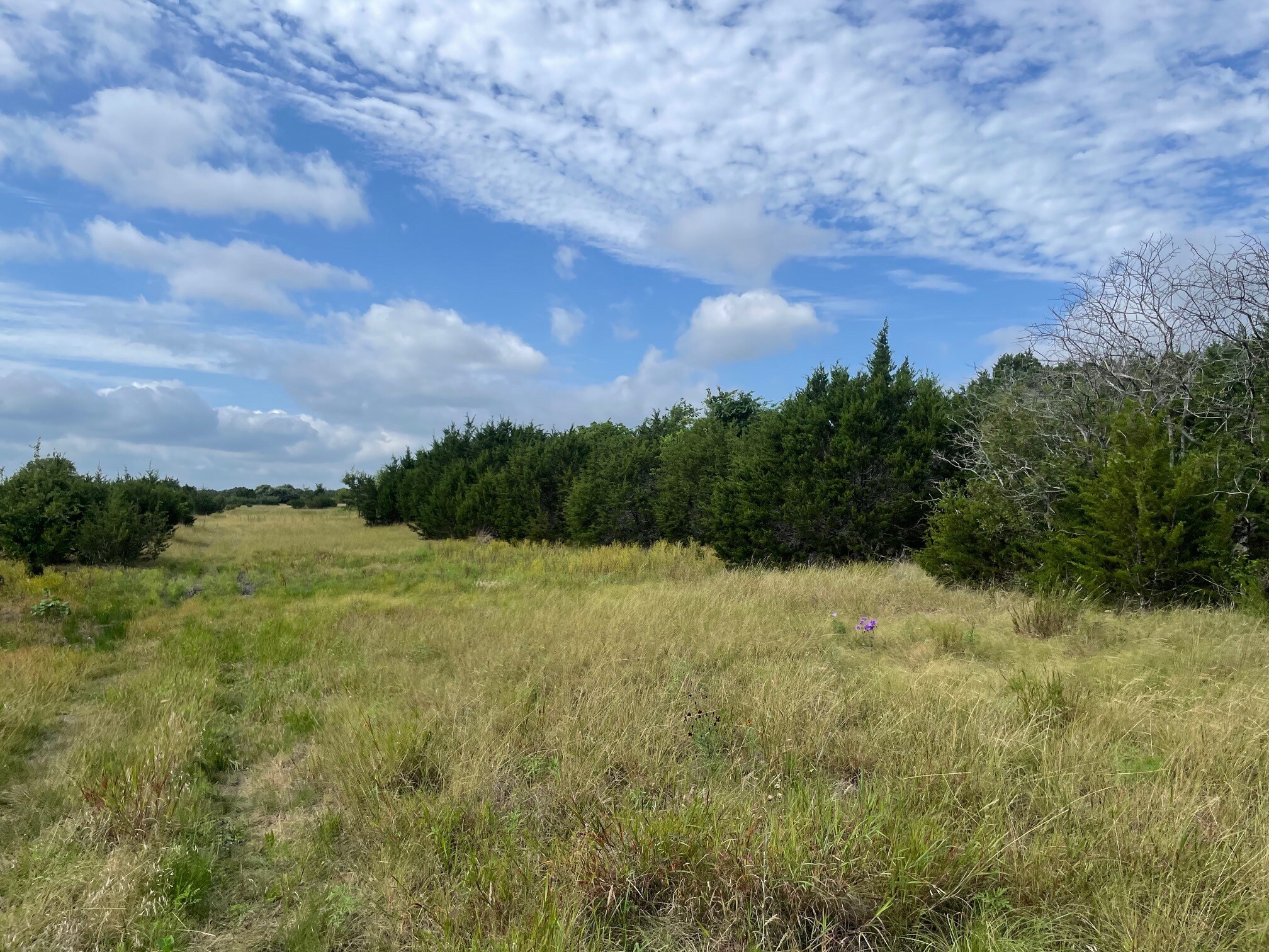 TBD CR 206, Lampasas, TX à vendre Photo principale– Image 1 sur 32