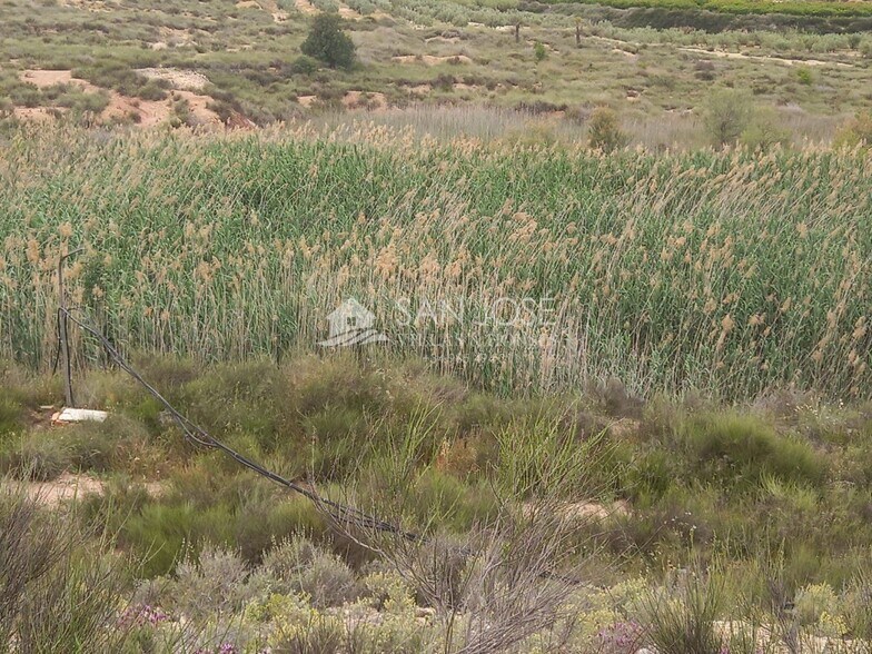Terrain dans Novelda, Alicante à vendre - Photo principale – Image 3 sur 17