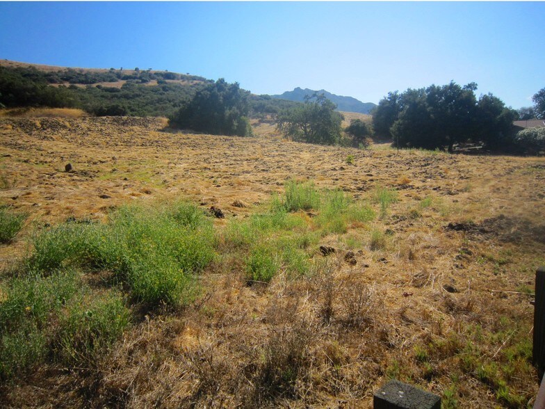 28810-28900-28902 Agoura Rd, Agoura Hills, CA à vendre - Photo de l’immeuble – Image 3 sur 18
