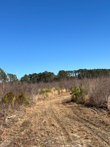 TBD South Carolina 38 Hwy, Bennettsville, SC à vendre - Photo de l’immeuble – Image 3 sur 5