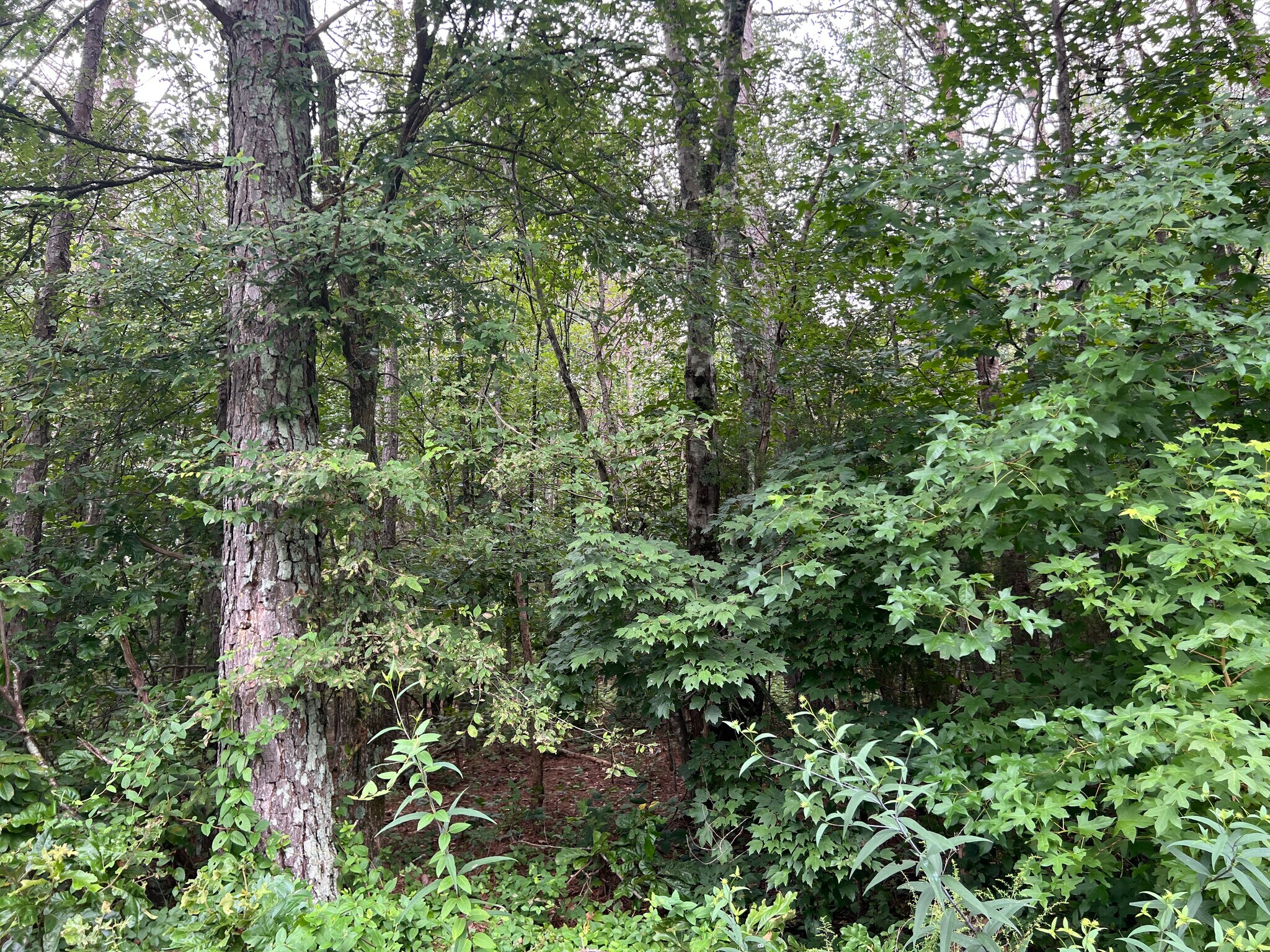 119 Kirk Rd NW, White, GA à vendre Photo principale– Image 1 sur 6