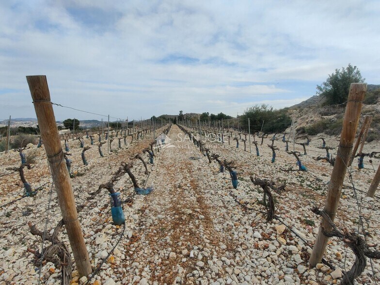 Terrain dans Aspe, Alicante à vendre - Photo principale – Image 2 sur 20