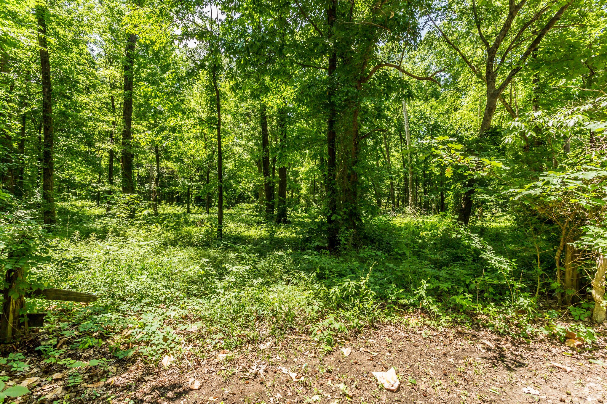 6999 Goodlett Farms Pky, Cordova, TN à vendre Photo principale– Image 1 sur 2