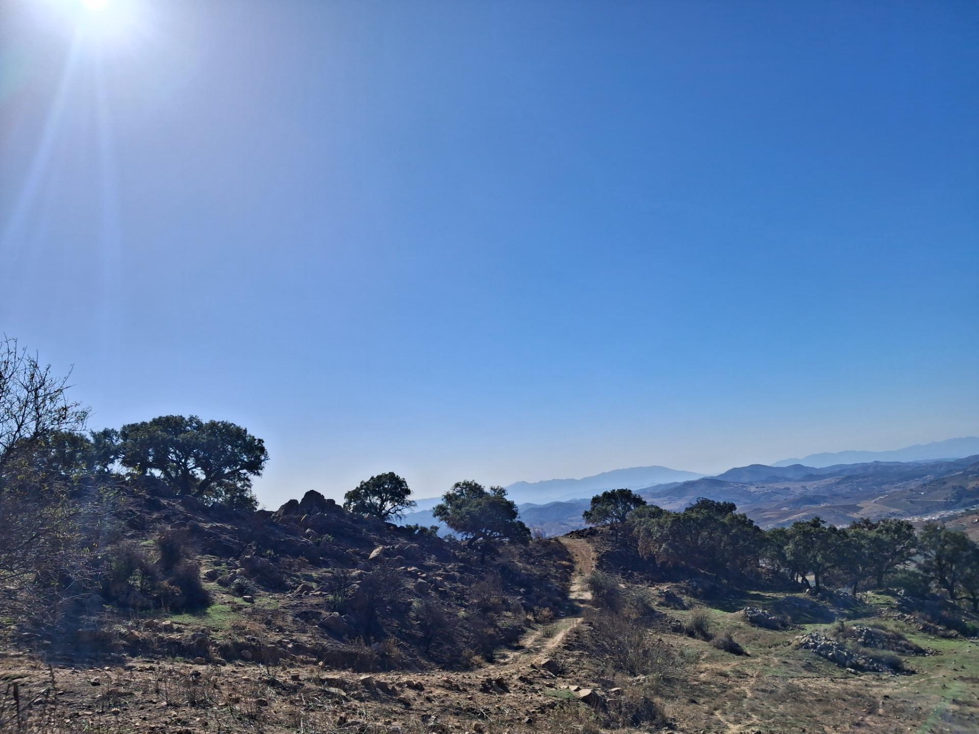 Terrain dans Antequera, Málaga à vendre Photo de l’immeuble– Image 1 sur 20