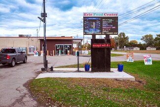 Plus de détails pour 9875 S Dixie Hwy, Erie, MI - Local commercial à vendre