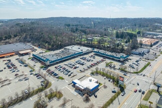 Plus de détails pour 4960 William Flynn Hwy, Allison Park, PA - Local commercial à louer