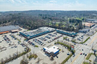 Plus de détails pour 4960 William Flynn Hwy, Allison Park, PA - Local commercial à louer