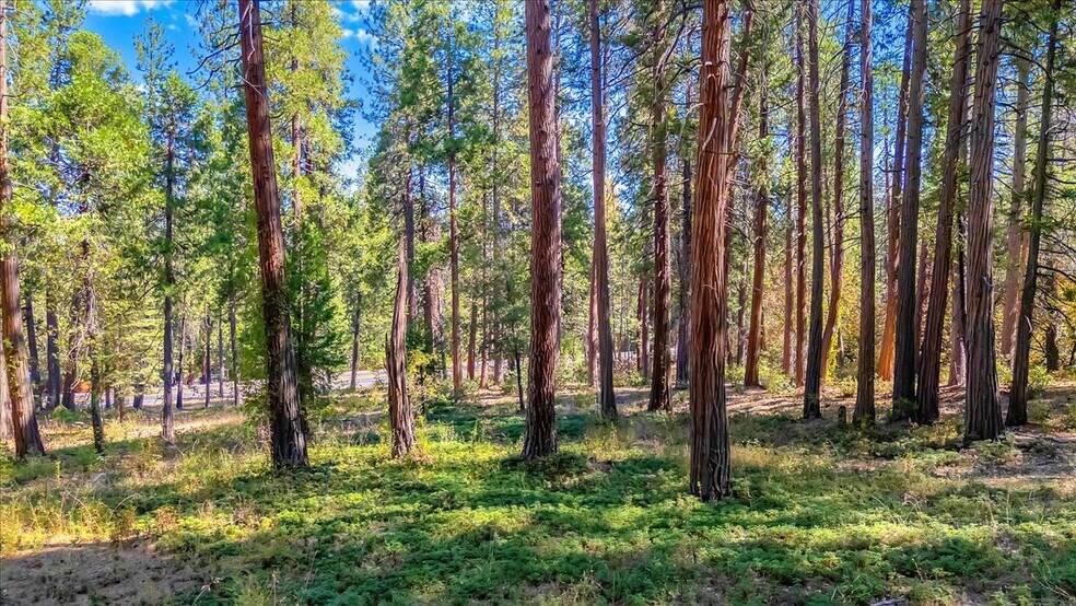 4610 E HIGHWAY 4, Murphys, CA à vendre - Photo de l’immeuble – Image 2 sur 27