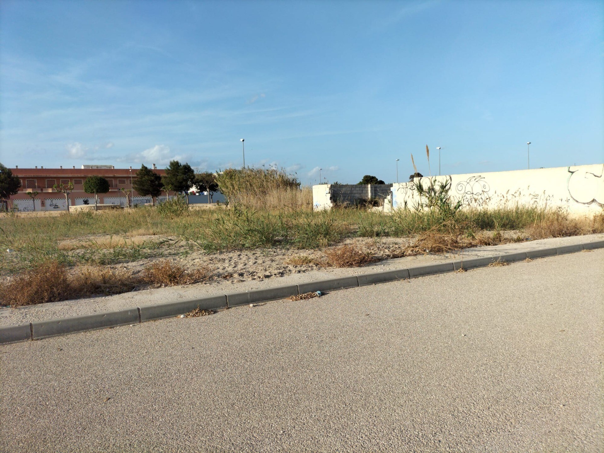 Terrain dans Cox, Alicante à vendre Plan de site– Image 1 sur 4