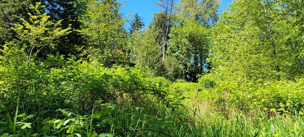 825 99th Ave SE, Lake Stevens, WA à vendre - Photo de l’immeuble – Image 2 sur 4