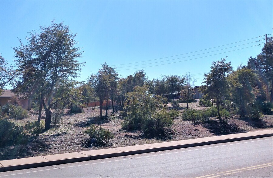 201 W Longhorn Rd, Payson, AZ à vendre - Photo de l’immeuble – Image 3 sur 14