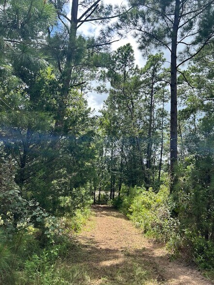 11382 County Road 307, Navasota, TX à vendre - Photo de l’immeuble – Image 2 sur 4