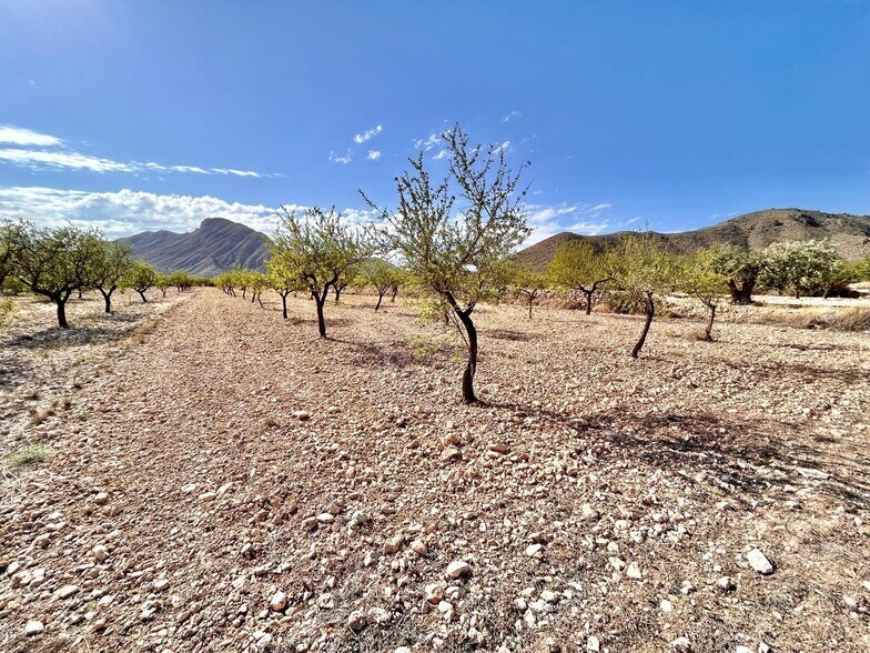 Terrain dans Orihuela, Alicante à vendre - Photo de l’immeuble – Image 2 sur 2