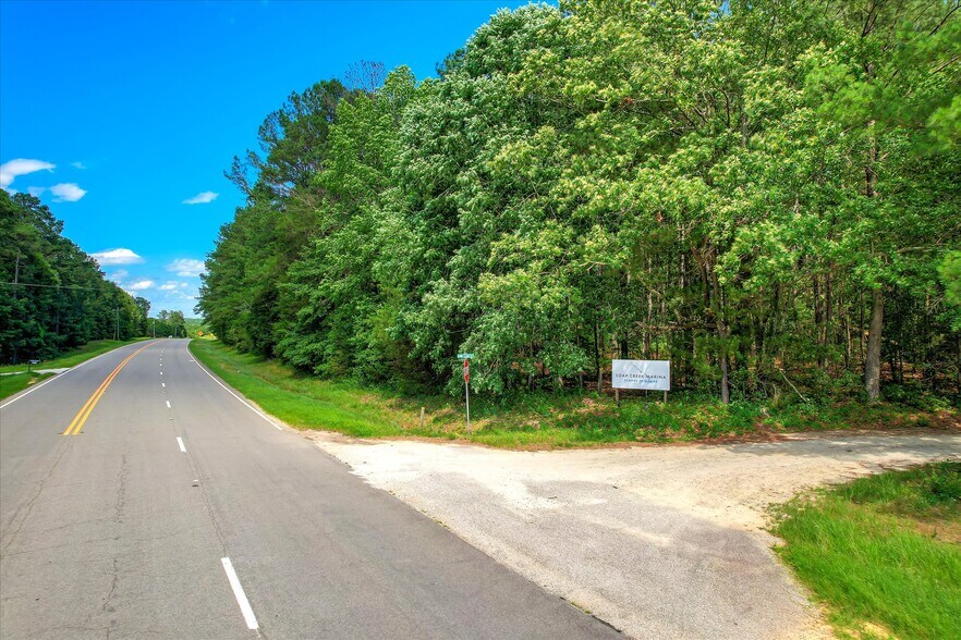 0 US 378 and Ann Scott Drive hwy, Lincolnton, GA à vendre - Photo de l’immeuble – Image 2 sur 22
