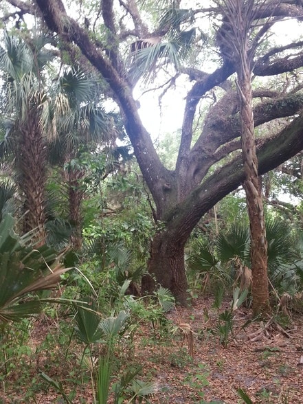 23600 Palm Beach Blvd, Alva, FL à louer - Photo principale – Image 1 sur 4