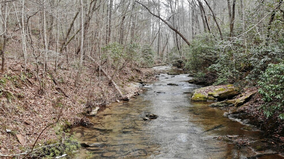N Bull Gap RD, Talking Rock, GA à vendre - Autre – Image 1 sur 3
