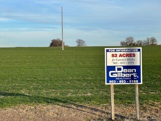 Plus de détails pour 8212 Farmington Rd, Gunter, TX - Terrain à vendre
