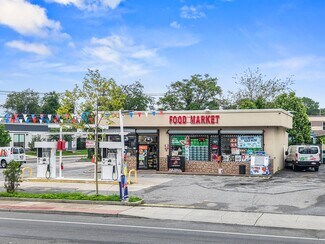 Plus de détails pour 257 Bay Shore Rd, Deer Park, NY - Local commercial à vendre