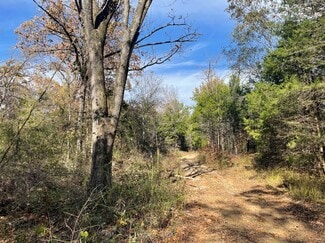 Plus de détails pour 1155 VZ County 1415 rd, Van, TX - Terrain à vendre