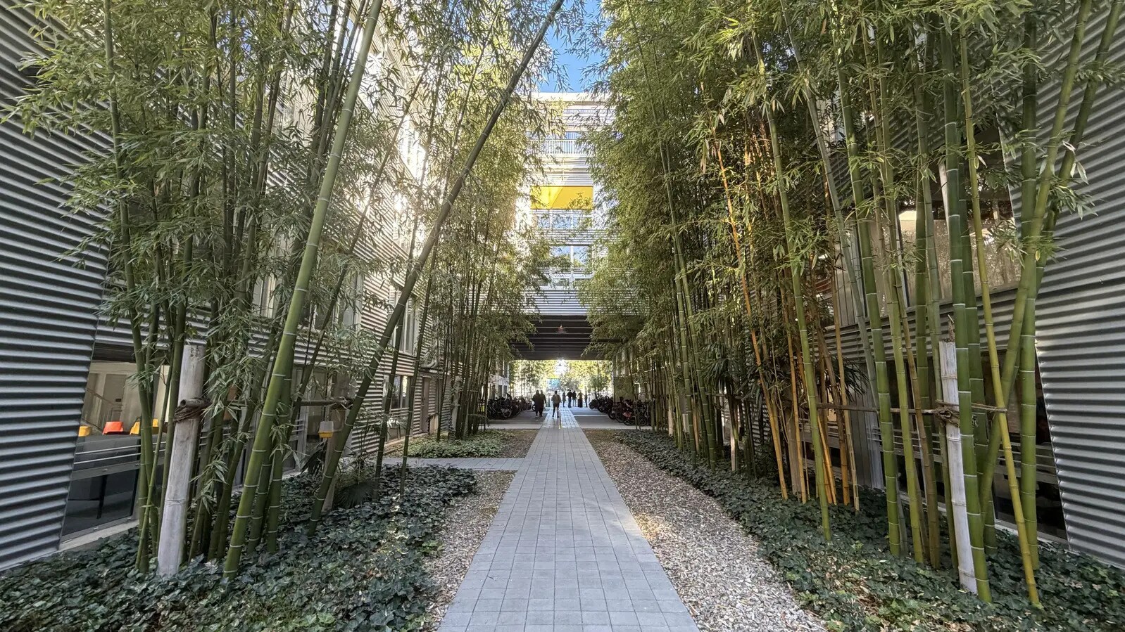 406 Boulevard Jean-Jacques Bosc, Bègles à louer Photo de l’immeuble– Image 1 sur 18