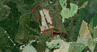 Plus de détails pour 17471 Hewlett Rd, Beaverdam, VA - Terrain à vendre