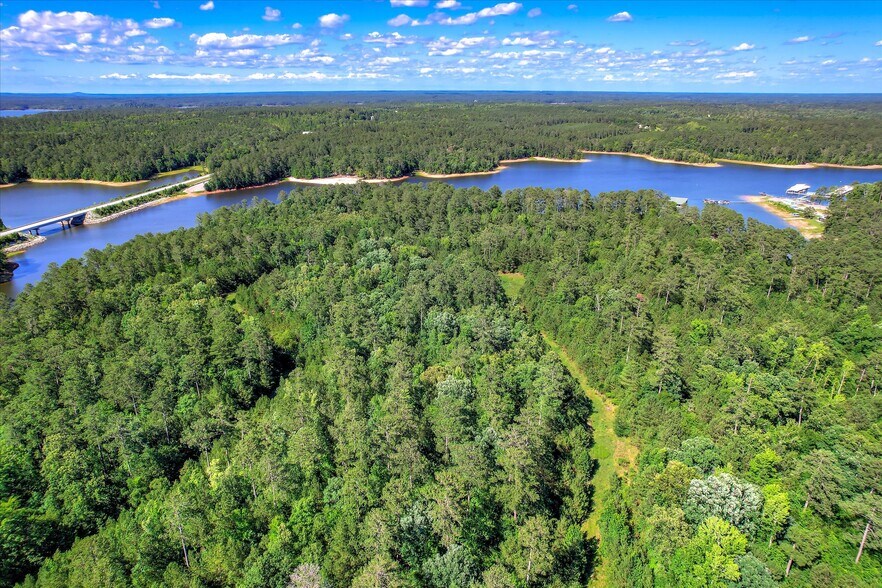 0 US 378 and Ann Scott Drive hwy, Lincolnton, GA à vendre - Photo principale – Image 1 sur 22