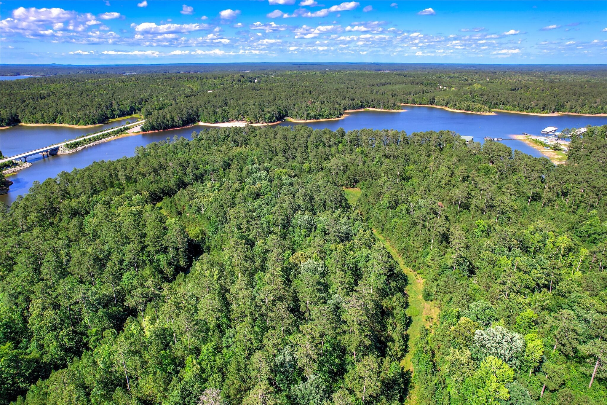 0 US 378 and Ann Scott Drive hwy, Lincolnton, GA à vendre Photo principale– Image 1 sur 23