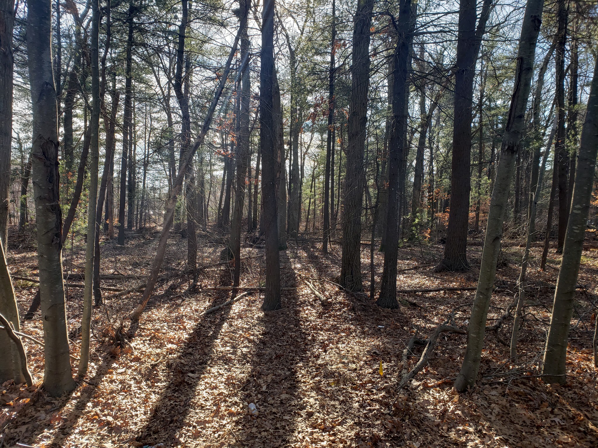 400 Cordwainer Dr, Norwell, MA à vendre Photo de l’immeuble– Image 1 sur 3