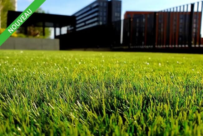 Plus de détails pour Local d'activités à louer