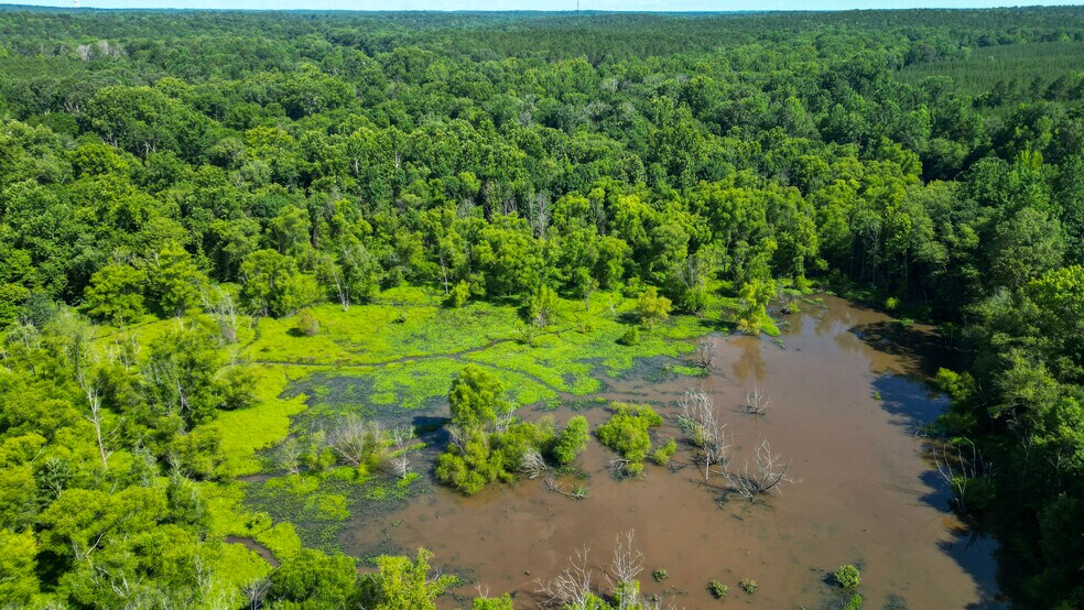 NPA, Abbeville, SC à vendre - Photo de l’immeuble – Image 3 sur 7