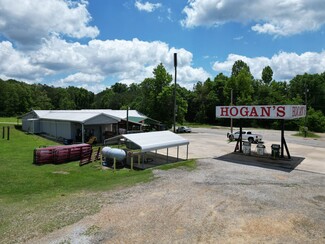 Plus de détails pour 52558 AL Highway 77, Talladega, AL - Local commercial à vendre