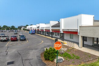 Plus de détails pour 323 Pinetree Rd, Ithaca, NY - Local commercial à louer