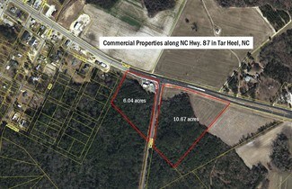 Plus de détails pour 13974-13476 N Carolina 87 Hwy, Tar Heel, NC - Terrain à vendre