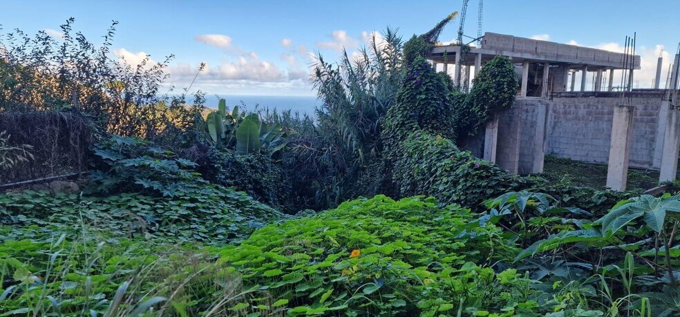 Terrain dans Firgas, Las Palmas à vendre - Photo de l’immeuble – Image 3 sur 10