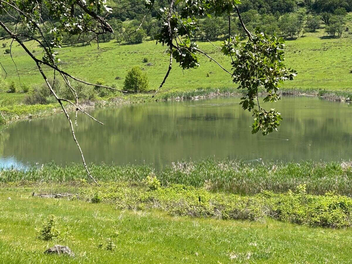 View Photo
