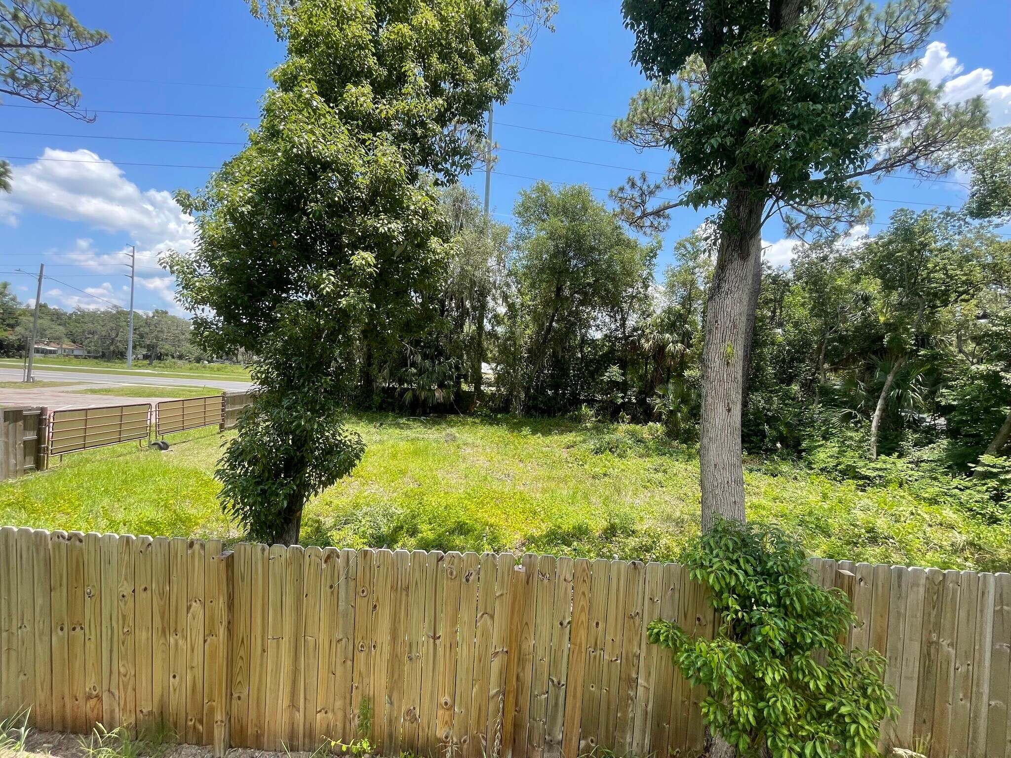 16220 Leonard St, Umatilla, FL à vendre Photo principale– Image 1 sur 8