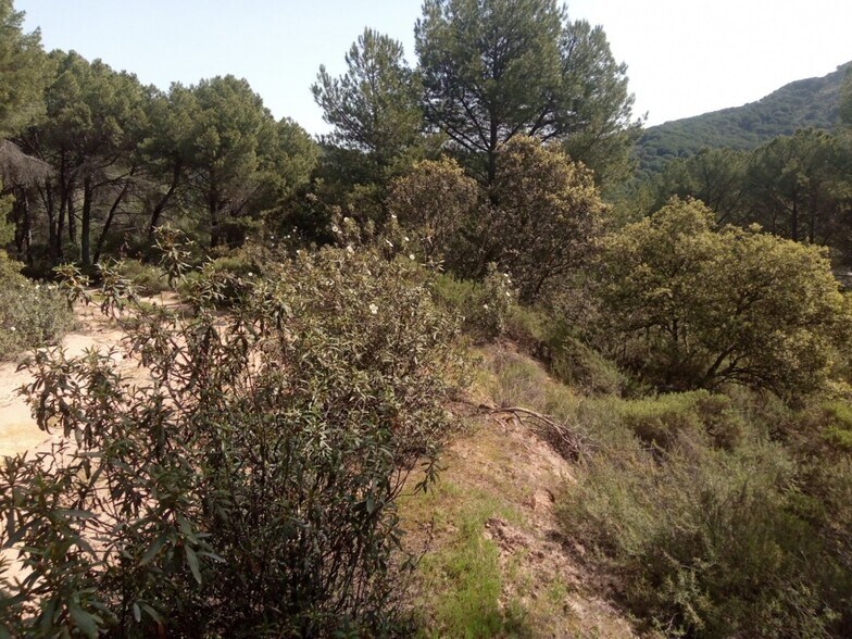 Terrain dans Córdoba, Córdoba à vendre - Aérien – Image 3 sur 3