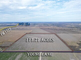 Plus de détails pour Young, Lockhart, TX - Terrain à vendre