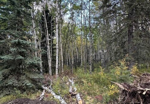 52 Elkstone Way, Rural Rocky View County, AB à vendre - Photo de l’immeuble – Image 2 sur 2